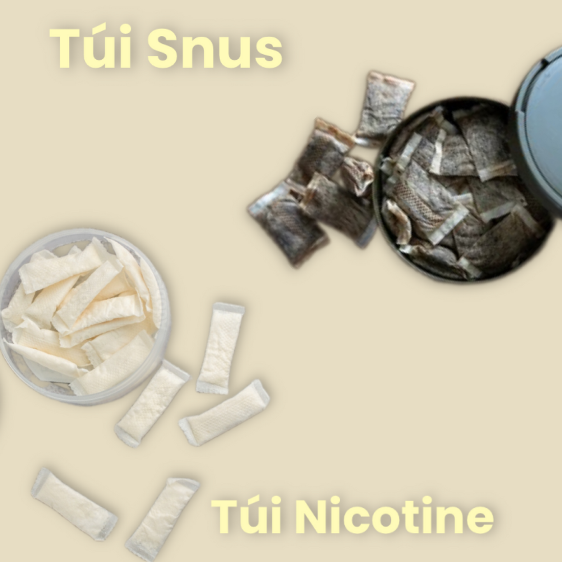 Phân Biệt Giữa Nicotine Pouches và Snus Portion: Sự Lựa Chọn Thông Minh Cho Người Dùng Nicotine