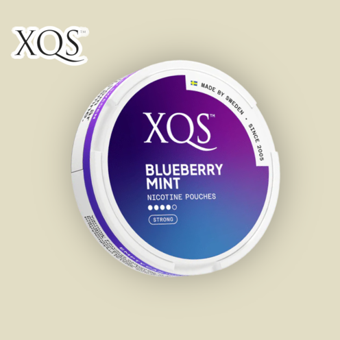 XQS BlueBerry Mint